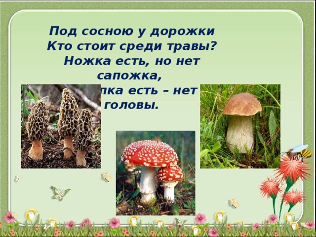 Под сосною у дорожки Кто стоит среди травы? Ножка есть, но нет сапожка, Шляпка есть – нет головы. 