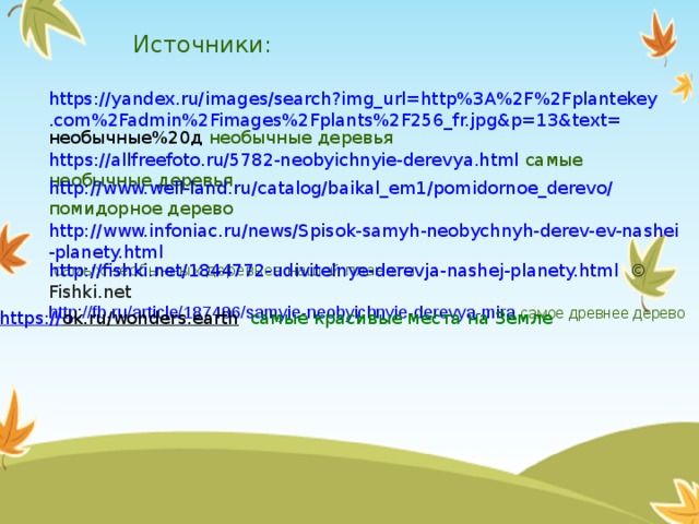 Источники: https://yandex.ru/images/search?img_url=http%3A%2F%2Fplantekey.com%2Fadmin%2Fimages%2Fplants%2F256_fr.jpg&p=13&text= необычные%20д  необычные деревья https://allfreefoto.ru/5782-neobyichnyie-derevya.html  самые необычные деревья http://www.well-land.ru/catalog/baikal_em1/pomidornoe_derevo/  помидорное дерево http://www.infoniac.ru/news/Spisok-samyh-neobychnyh-derev-ev-nashei-planety.html  самых необычных деревьев нашей планеты http://fishki.net/1844772-udivitelnye-derevja-nashej-planety.html    © Fishki.net http://fb.ru/article/187486/samyie-neobyichnyie-derevya-mira  самое древнее дерево https:// ok.ru/wonders.earth  самые красивые места на Земле 
