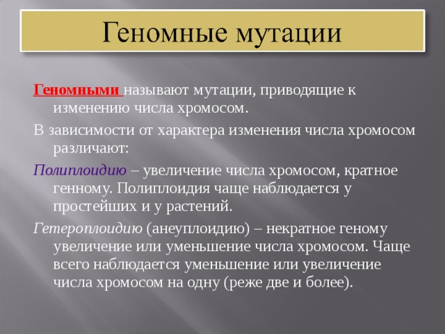 Изменение количества хромосом мутация. Мутации приводящие к изменению числа хромосом. Геномные мутации изменение числа хромосом. Мутации связанные с изменением числа хромосом. Изменение числа хромосом приводит к геномным мутациям.