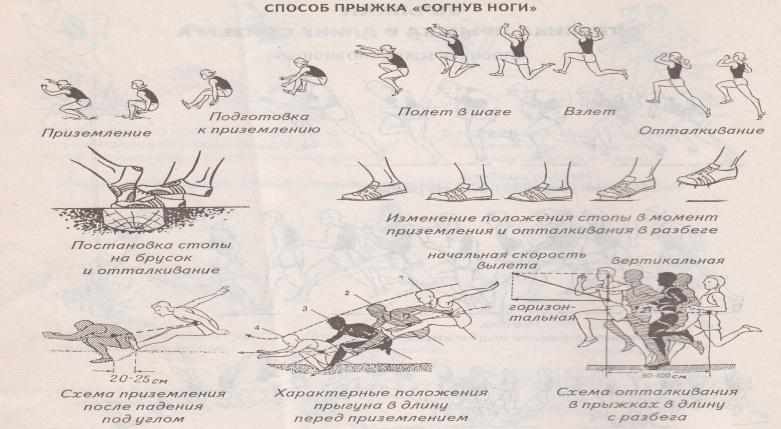 План конспект урока по легкой атлетике 5 класс прыжок в длину с разбега