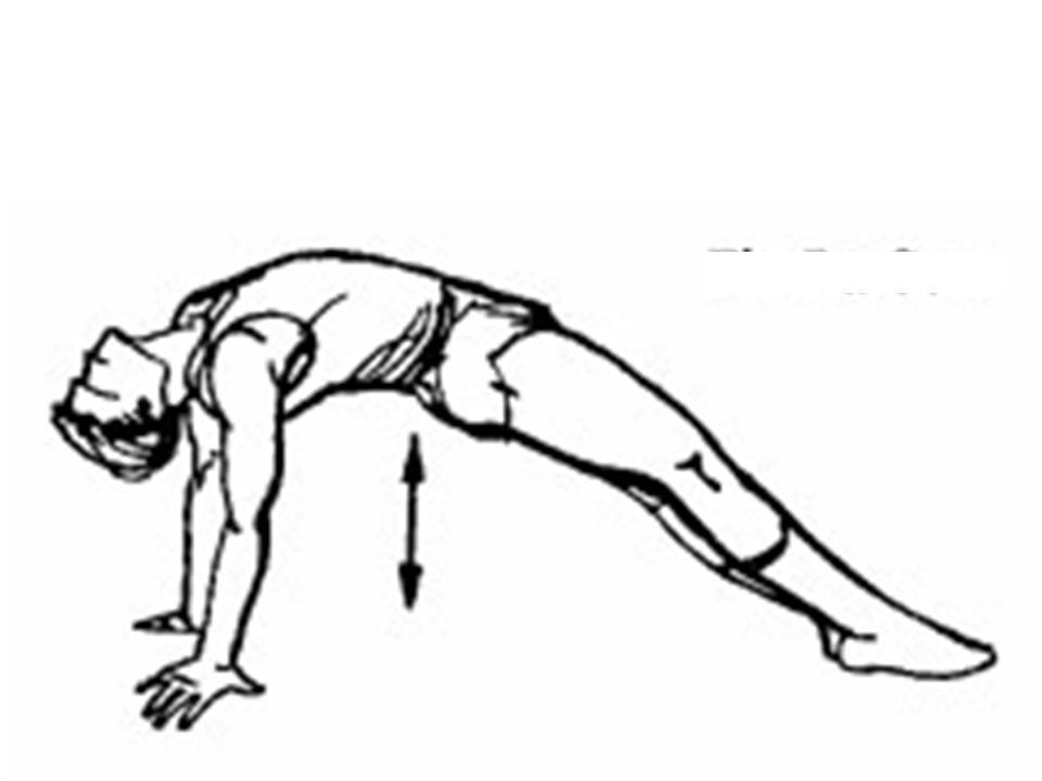 Наклон туловища вперед лежа. В упоре лежа сзади, сгибая ноги, пружинящие движения туловищем.. Сед, упор сзади; 1 – прогнуться вверх. Упор лежа руки сзади.