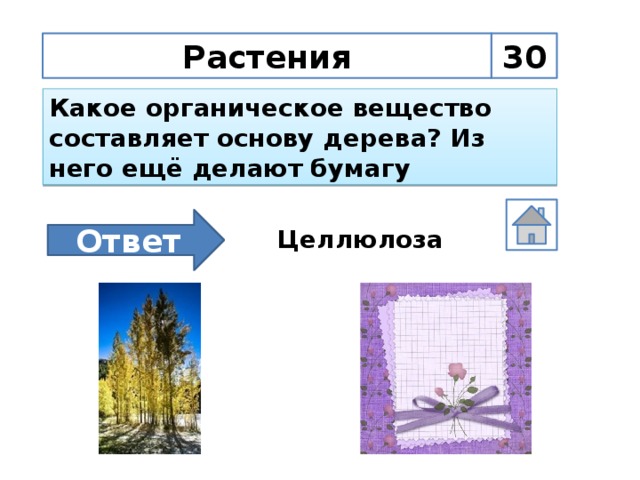 Бумага ответы. Из растений делают бумагу. Растения из которых делают бумагу. Деревья из которых делают бумагу. Ратеня из древесины которых делают бумагу.