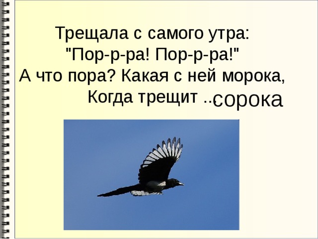 Трещала с самого утра:  