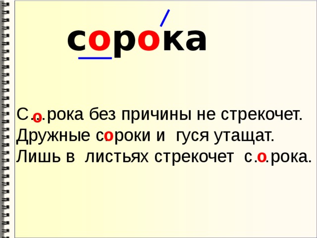 с о р о ка С…рока без причины не стрекочет. Дружные с. роки и гуся утащат. Лишь в листьях стрекочет с…рока. о о о