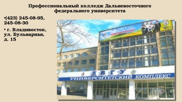 Двфу специальности после 11. Проф колледж ДВФУ. Колледж ДВГУ Владивосток. Гимназия колледж ДВФУ.