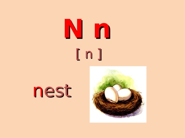 N n [ n ] n est 