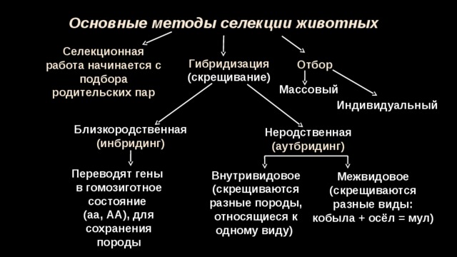 Схема методов селекции