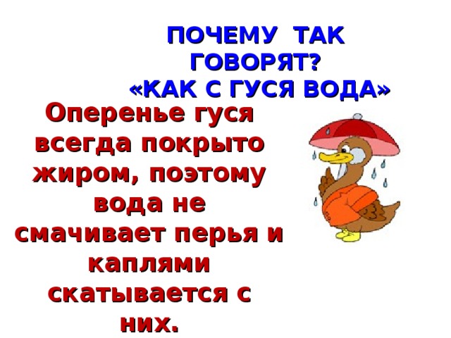 ПОЧЕМУ ТАК ГОВОРЯТ?  «КАК С ГУСЯ ВОДА»  Оперенье гуся всегда покрыто жиром, поэтому вода не смачивает перья и каплями скатывается с них. 