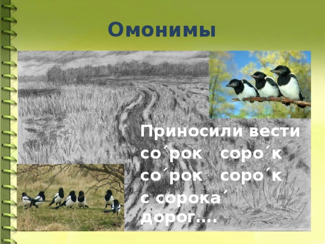 Омонимы Приносили вести со´рок соро´к со´рок соро´к с сорока´ дорог….  