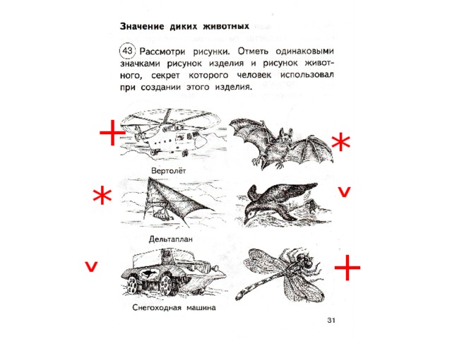 Отметь рисунки