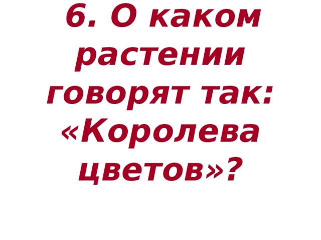  6. О каком растении говорят так: «Королева цветов»?   