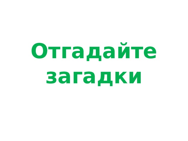 Отгадайте загадки 