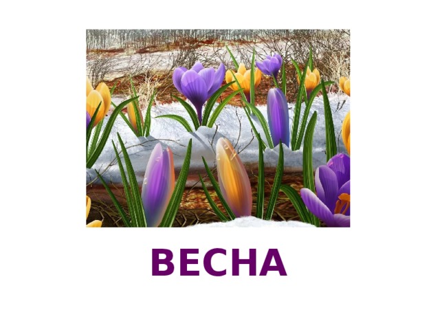 ВЕСНА 