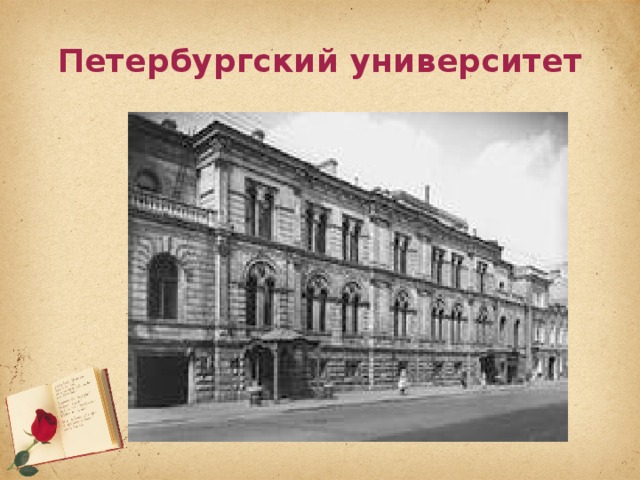 Петербургский университет 