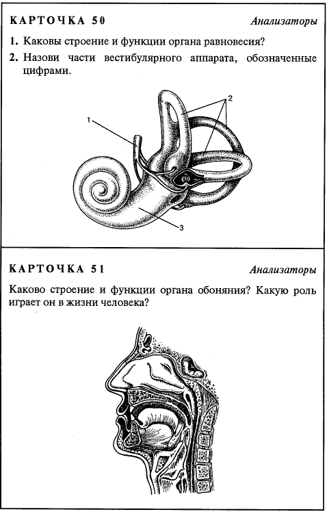 Тест по анатомии. Задания карточки по анатомии человека. Дидактические карточки по биологии 8 класс. Карточки по биологии 9 класс с ответами. Дидактические карточки по биологии 8 класс анализаторы.