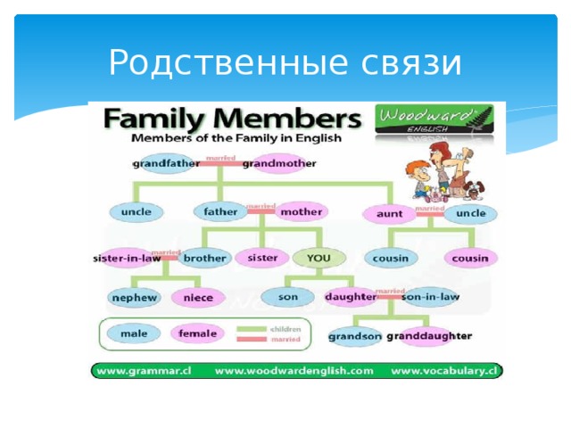 Родственные. Родственные связи. Родство родственные связи. Задание родственные отношения. Родственные связи пример.