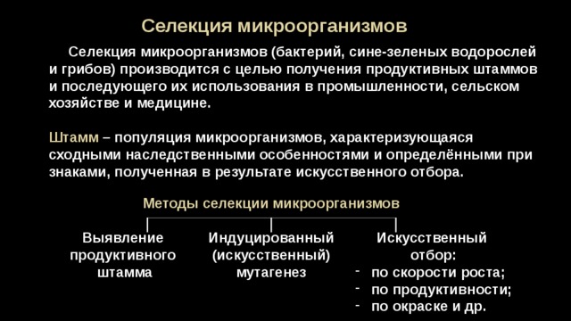 Селекция микроорганизмов. Селекция микроорганизмов бактерий грибов водорослей. Особенности селекции микроорганизмов. Селекция микроорганизмов биотехнология. Достижения в селекции микробиология.