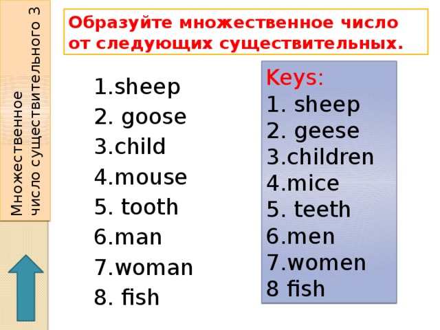Множественное  число существительного 3 Образуйте множественное число от следующих существительных. Keys: 1. sheep 2. geese  3.children  4.mice 5. teeth 6.men 7.women 8 fish 1.sheep  2. goose  3.child  4.mouse 5. tooth 6.man 7.woman 8. fish 