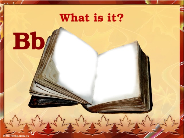 What is it? Bb 