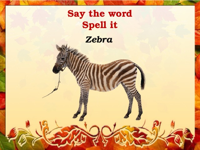 Say the word  Spell it Zebra 