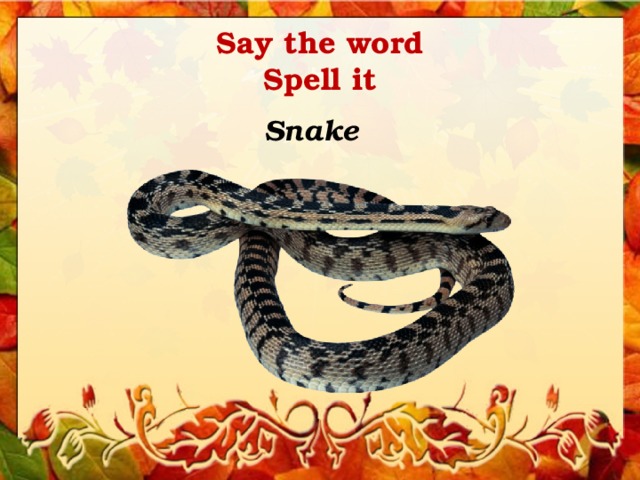 Say the word  Spell it Snake 