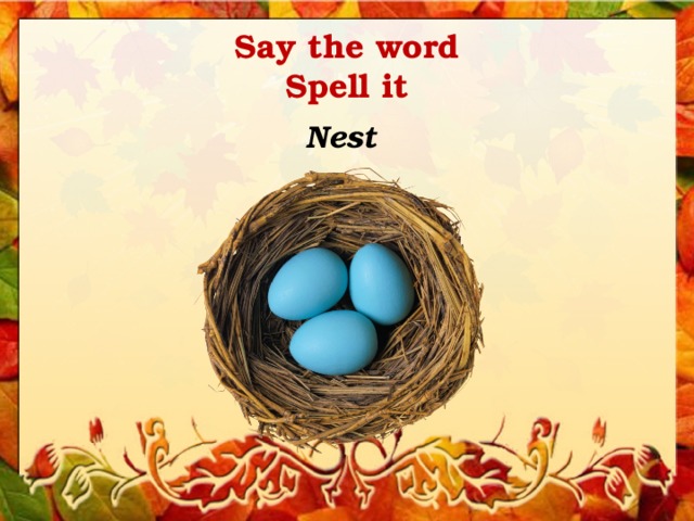 Say the word  Spell it Nest 