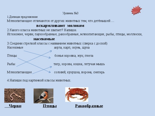 Чем звери отличаются от других животных 1