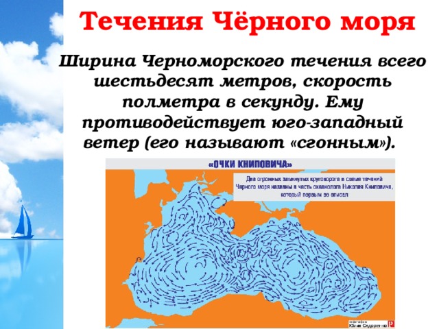 Течения Чёрного моря Ширина Черноморского течения всего шестьдесят метров, скорость полметра в секунду. Ему противодействует юго-западный ветер (его называют «сгонным»). 