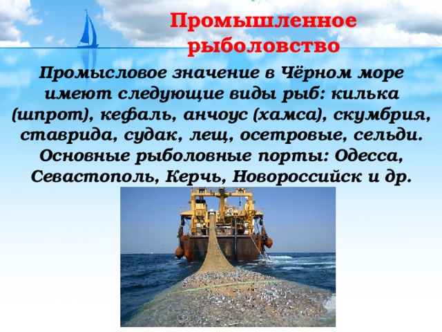 Промышленное рыболовство Промысловое значение в Чёрном море имеют следующие виды рыб: килька (шпрот), кефаль, анчоус (хамса), скумбрия, ставрида, судак, лещ, осетровые, сельди. Основные рыболовные порты: Одесса, Севастополь, Керчь, Новороссийск и др.  