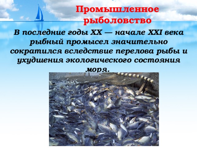 Промышленное рыболовство В последние годы XX — начале XXI века рыбный промысел значительно сократился вследствие перелова рыбы и ухудшения экологического состояния моря. 