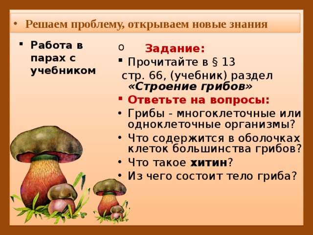 Тест грибы 5 класс биология. Строение многоклеточного гриба. Вопросы про грибы. Грибы задания 5 класс. Работа грибы 5 класс биология.