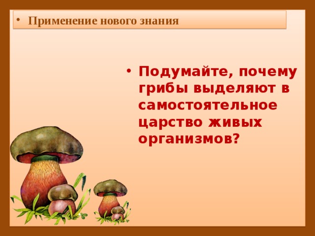 Грибы выделяют в. Что выделяют грибы. Грибы выделяют самостоятельно. Почему грибы выделены в самостоятельное царство живых организмов. Грибы выделяют в самостоятельное.