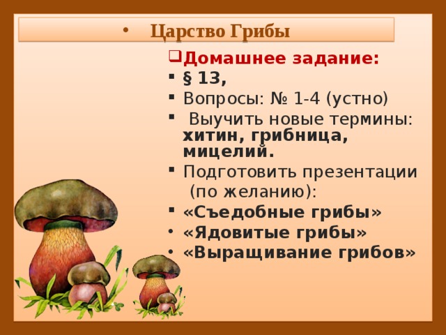 Характеристика царства грибов. Характеристика грибов 5 класс. Царство грибы общая характеристика. Характеристика грибов 5 класс биология.