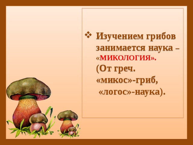 Характеристика царства грибов 5 класс биология презентация