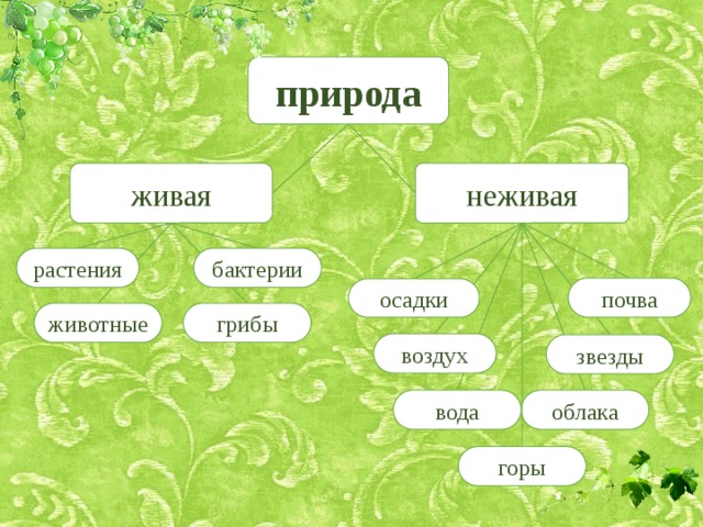 Пример неживой природы 2 класс. Кластер на тему Живая и неживая природа. Кластер Живая природа. Понятийная гроздь. Понятийная гроздь по окружающему миру.