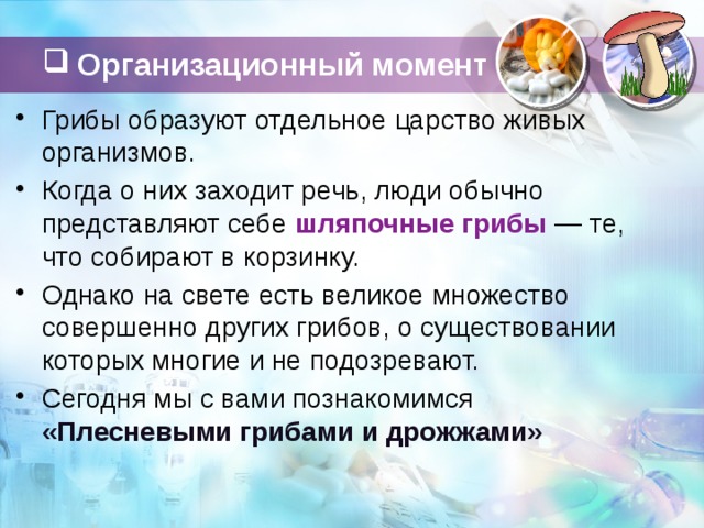 Плесневые грибы презентация 5 класс