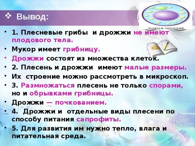 Вывод: 1. Плесневые грибы  и дрожжи не имеют плодового тела. Мукор имеет грибницу. Дрожжи состоят из множества клеток. 2. Плесень и дрожжи  имеют малые размеры. Их  строение можно рассмотреть в микроскоп. 3. Размножаться плесень не только спорами, но и обрывками грибницы. Дрожжи — почкованием. 4.  Дрожжи и  отдельные виды плесени по способу питания сапрофиты. 5. Для развития им нужно тепло, влага и питательная среда. 