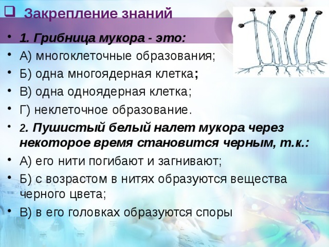 Закрепление знаний   1. Грибница мукора - это: А) многоклеточные образования; Б) одна многоядерная клетка ; В) одна одноядерная клетка; Г) неклеточное образование. 2 . Пушистый белый налет мукора через некоторое время становится черным, т.к.: А) его нити погибают и загнивают; Б) с возрастом в нитях образуются вещества черного цвета; В) в его головках образуются споры 