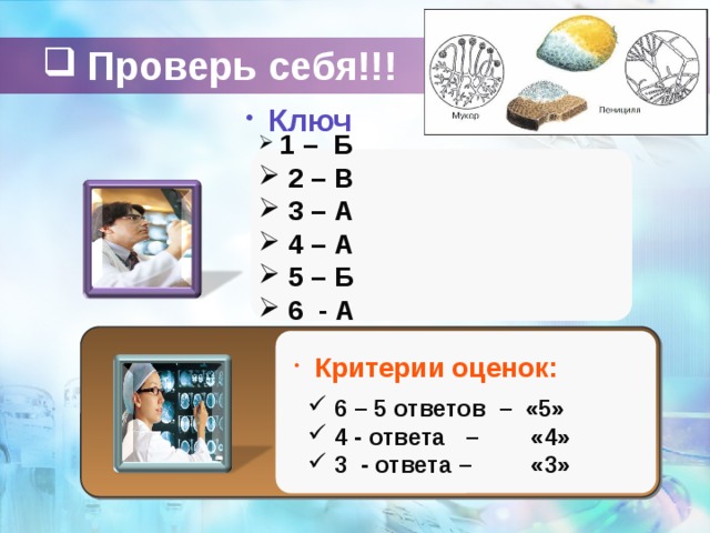 Проверь себя!!!  Ключ  1 – Б  2 – В  3 – А  4 – А  5 – Б  6 - А  Критерии оценок: 6 – 5 ответов – «5» 4 - ответа – «4» 3 - ответа – «3» 