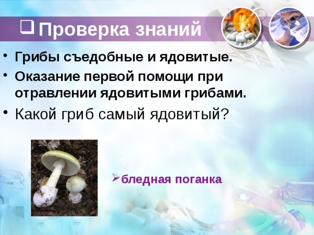 Проверка знаний Грибы съедобные и ядовитые. Оказание первой помощи при отравлении ядовитыми грибами. Какой гриб самый ядовитый?   бледная поганка 