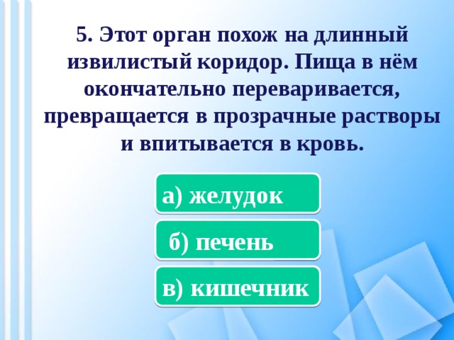 Какой орган похож на длинный извилистый коридор