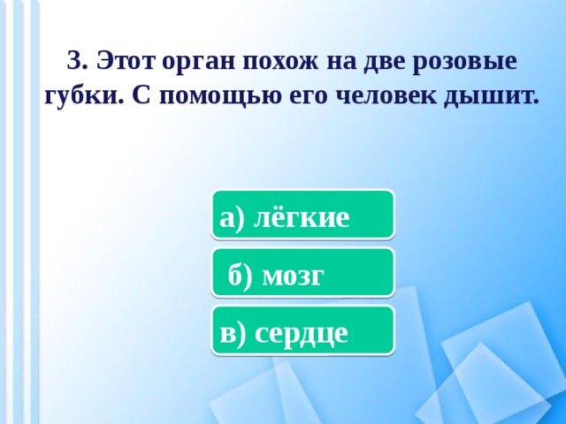 Какой орган похож на длинный извилистый коридор