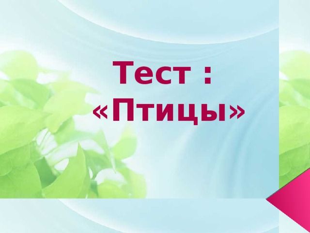 Тест :  «Птицы»