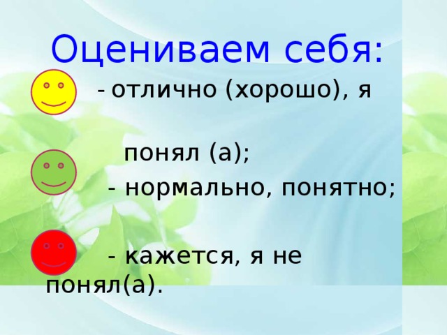 Оцениваем себя:   -  отлично (хорошо), я  понял (а);  - нормально, понятно;  - кажется, я не понял(а).