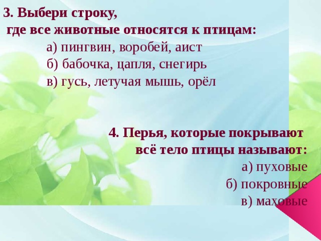 3. Выбери строку,  где все животные относятся к птицам:  а) пингвин, воробей, аист  б) бабочка, цапля, снегирь  в) гусь, летучая мышь, орёл  4. Перья, которые покрывают всё тело птицы называют:  а) пуховые  б) покровные  в) маховые