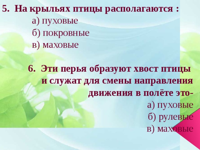5. На крыльях птицы располагаются :  а) пуховые  б) покровные  в) маховые  6. Эти перья образуют хвост птицы и служат для смены направления  движения в полёте это-  а) пуховые  б) рулевые  в) маховые