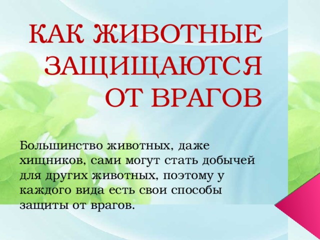 Как деревья защищаются от врагов презентация