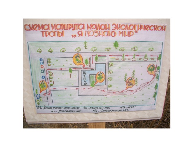 Большая воронежская экологическая тропа маршрут карта