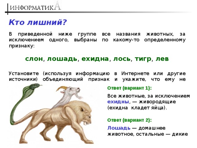 Кто лишний?  В приведенной ниже группе все названия животных, за исключением одного, выбраны по какому-то определенному признаку: слон , лошадь , ехидна , лось , тигр , лев Установите (используя информацию в Интернете или другие источники) объединяющий признак и укажите, что ему не соответствует. Ответ (вариант 1 ) : Все животные, за исключением ехидны , — живородящие (ехидна кладет яйца). Ответ (вариант 2) : Лошадь — домашнее животное, остальные — дикие 