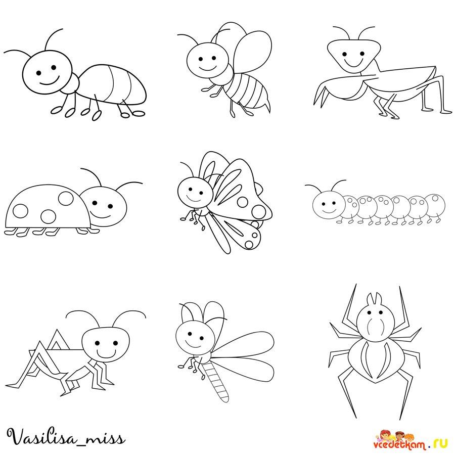 Про насекомых для детей 4 5. Насекомые раскраска для детей. Раскраски насекомые для детей 4-5 лет. Раскраски насекомые для детей 3-4 лет. Раскраска насекомые для малышей.